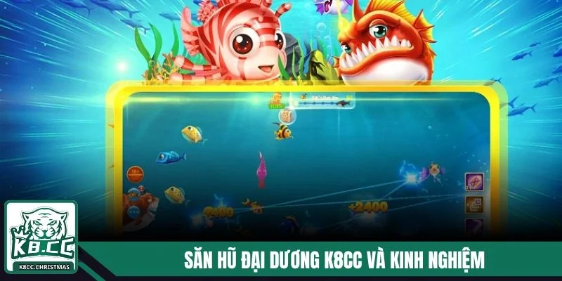 Săn Hũ Đại Dương K8CC - Khám Phá Về Thế Giới Huyền Bí 4 Săn hũ đại dương K8CC và kinh nghiệm